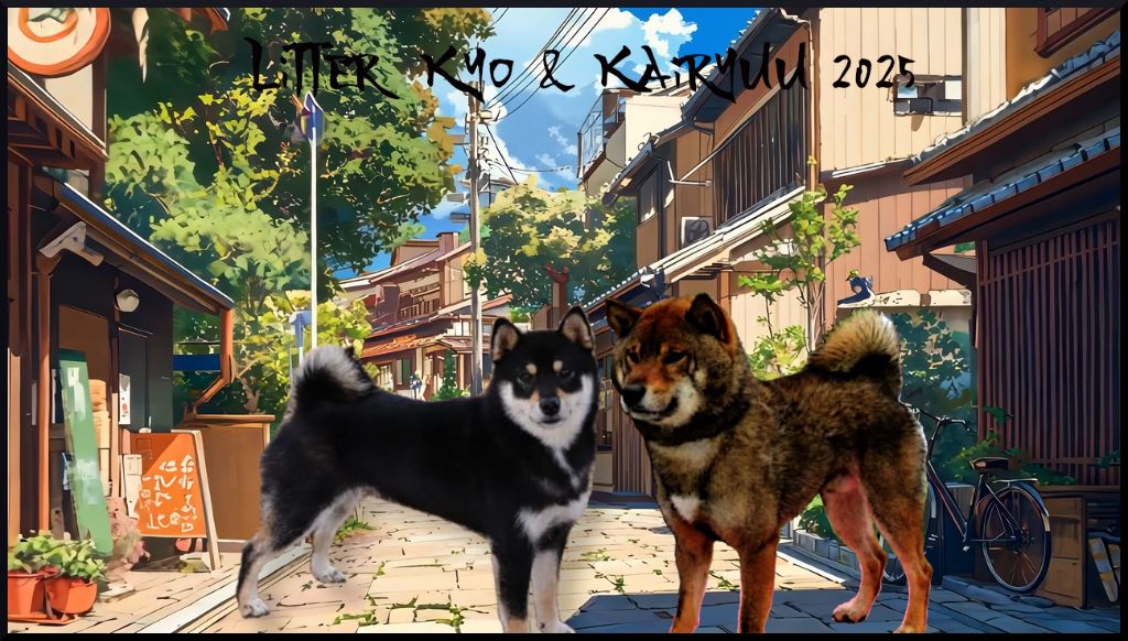 Mariage de Kyukyoku & Kairyuu